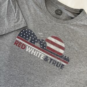Life is Good Men’s Gray Short Sleeve Classic Crusher Tee XXXL Red, White & True